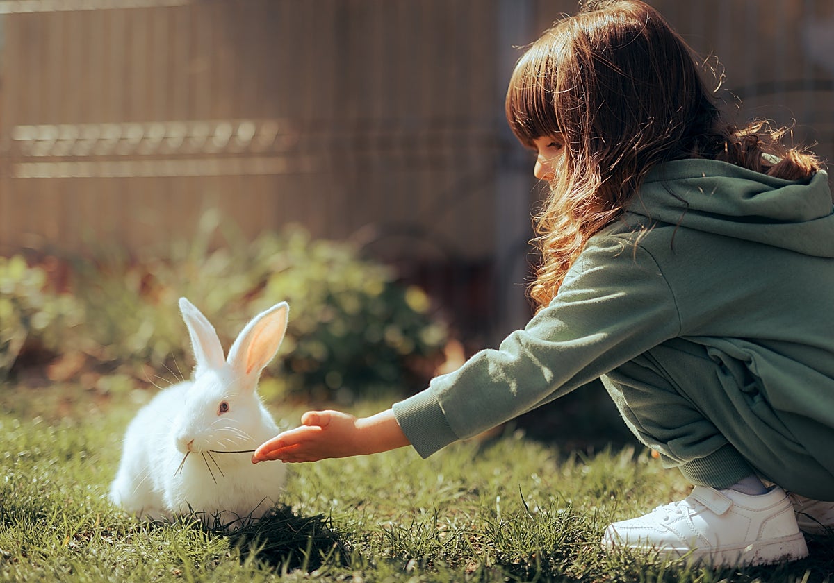 Las ciudades continúan ofreciendo más beneficios para la salud de los niños y adolescentes respecto a las zonas rurales
