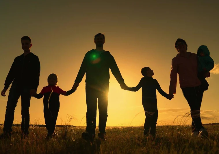 Crecer con hermanos reduce las probabilidades de divorciarse en la edad adulta