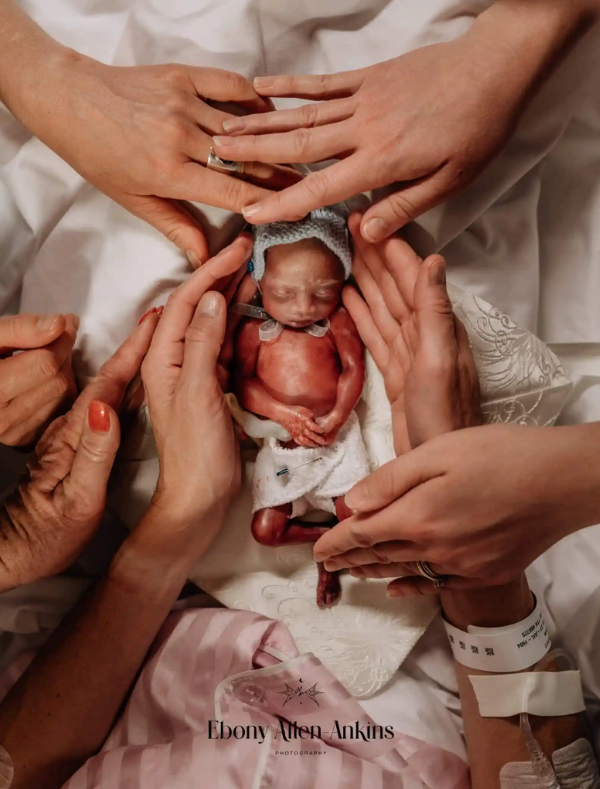 'Noah's Ark' ('El arca de Noé')