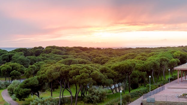 Atardecer visto desde el hotel