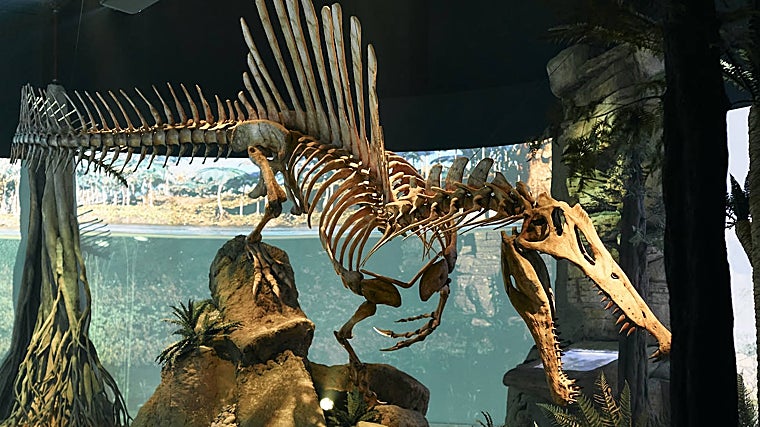 Dinópolis cuenta con seis salas tematizadas que asombran a grandes y pequeños en un viaje a nuestra historia pasada