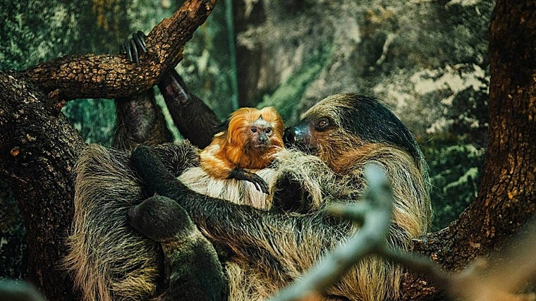 Planes para hacer en familia esta Semana Santa