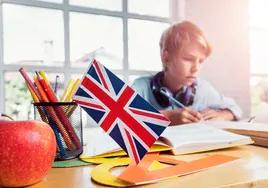 Una experta menciona las razones por la que los escolares no logran buen nivel de inglés
