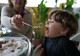 ¿Tienen obligación los abuelos alimentar a sus nietos?