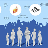 Un estudio identifica más de 3.000 sustancias químicas en contacto con alimentos