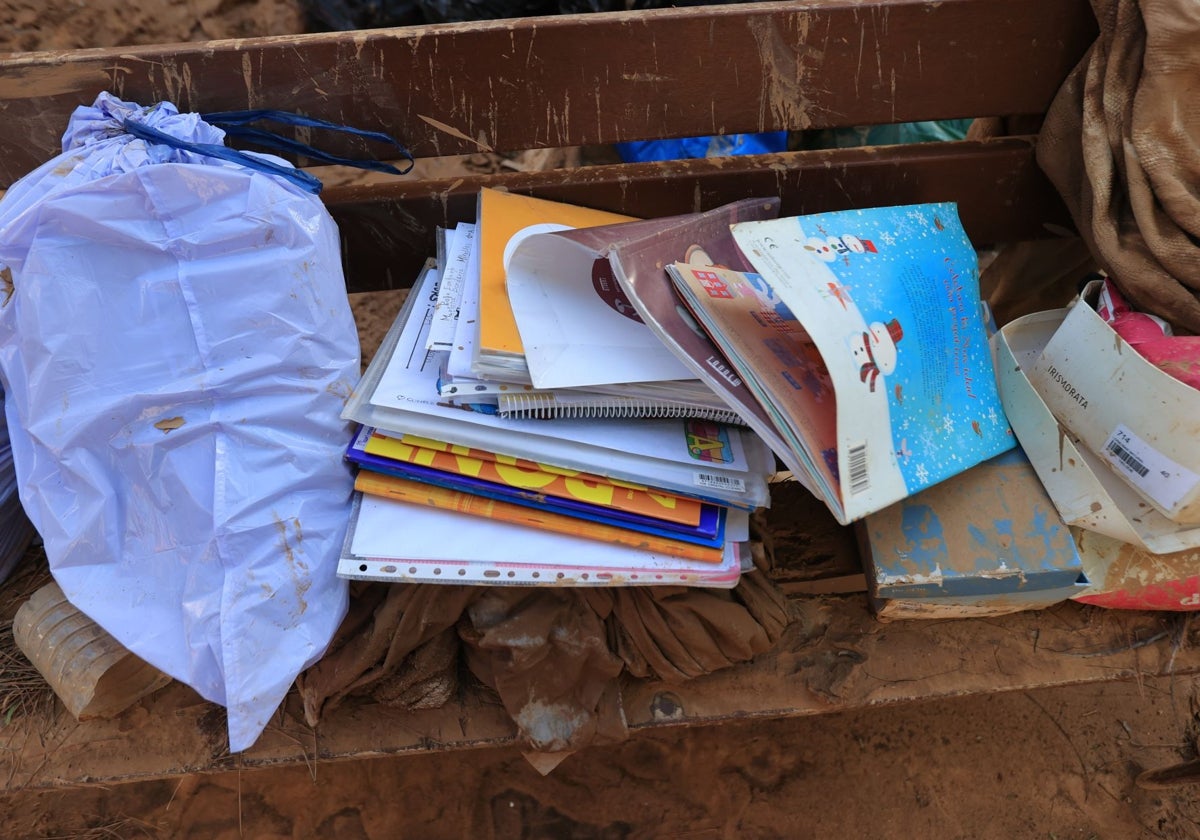 Estado en el que han quedado muchos libros escolares tras el paso de la DANA en Valencia