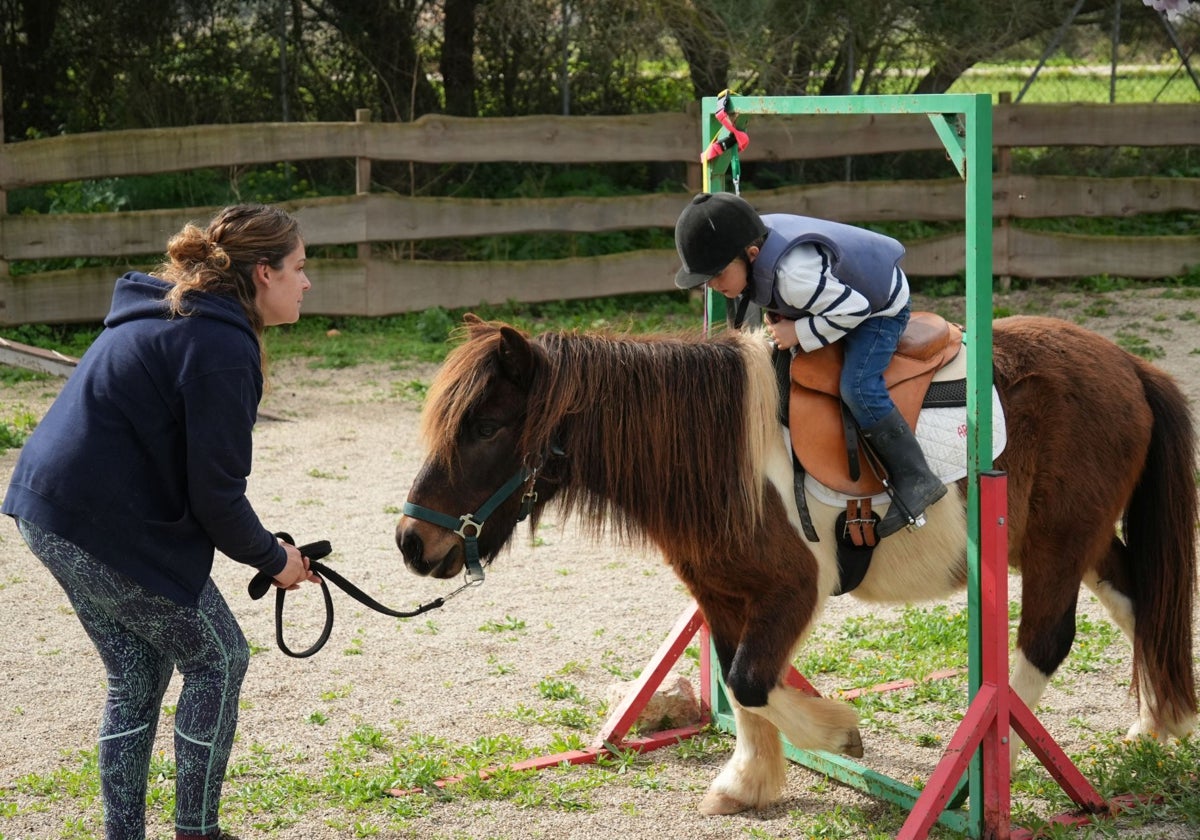 Un menor realiza terapia con un poni en la Fundación S'HORT VELL