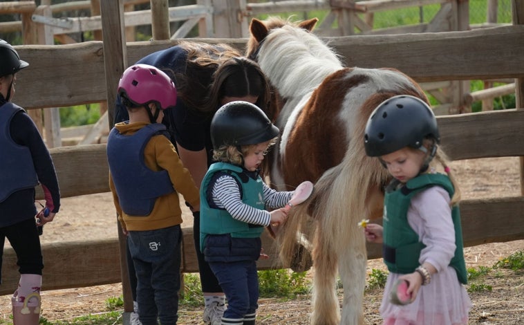 Imagen principal - Momentos diferentes de las IAA en la Fundació S'HORT VELL, tanto con perros como con ponis