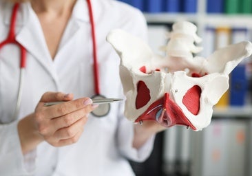 Suelo pélvico: «Esperar a los síntomas para cuidarlo es como empezar a cepillarse los dientes cuando ya hay caries»