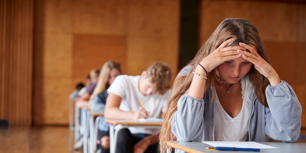 Un profesor de bachillerato advierte del error de los padres con los hijos que estudian para la pau