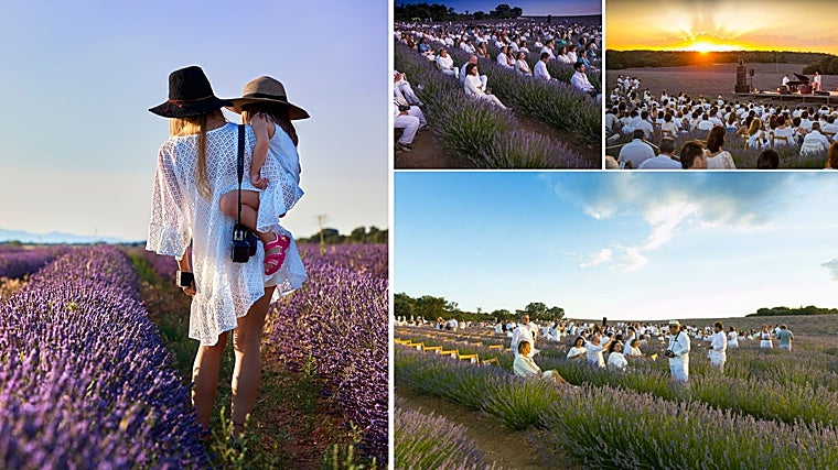 Planes para hacer con tus hijos aunque el calor apriete