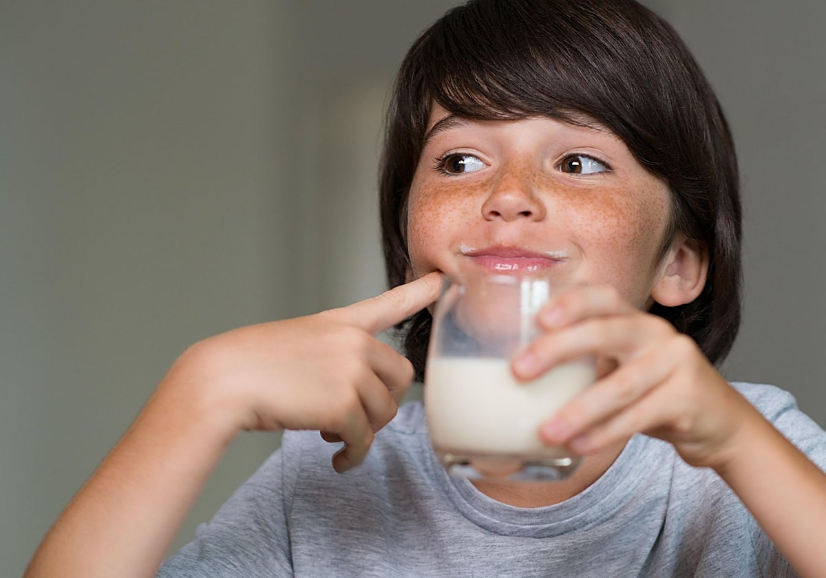 Una pediatra recuerda: «Ir al cole sin desayunar es como salir de casa con el coche en reserva»