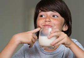 Una pediatra recuerda: «Ir al cole sin desayunar es como salir de casa con el coche en reserva»