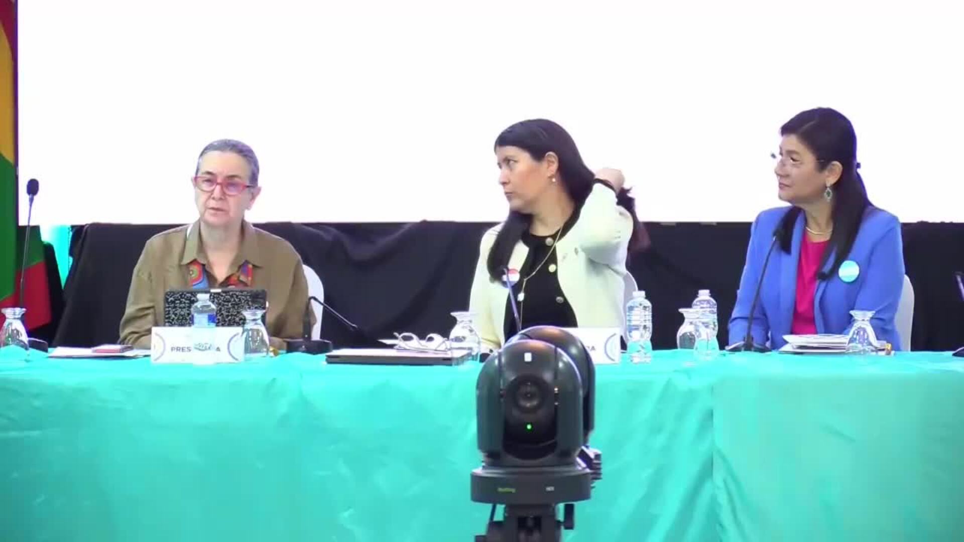 Organismo de la OEA trata la primera infancia, la salud mental y la protección de la niñez como temas centrales de su reunión