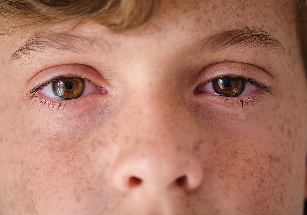 Una psicóloga explica cuál es la mejor forma de actuar cuando tu hijo llora