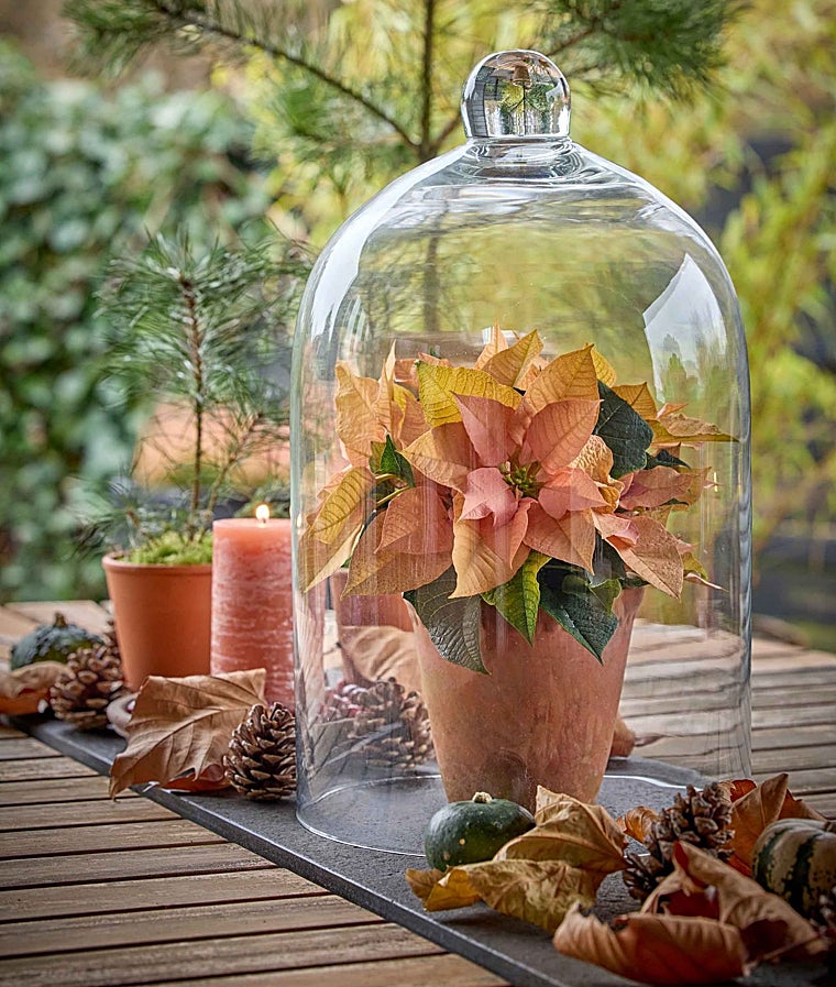 Como levar mais alegria às reuniões familiares em sua casa