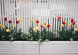 Paneles de ocultación baratos para tu jardín