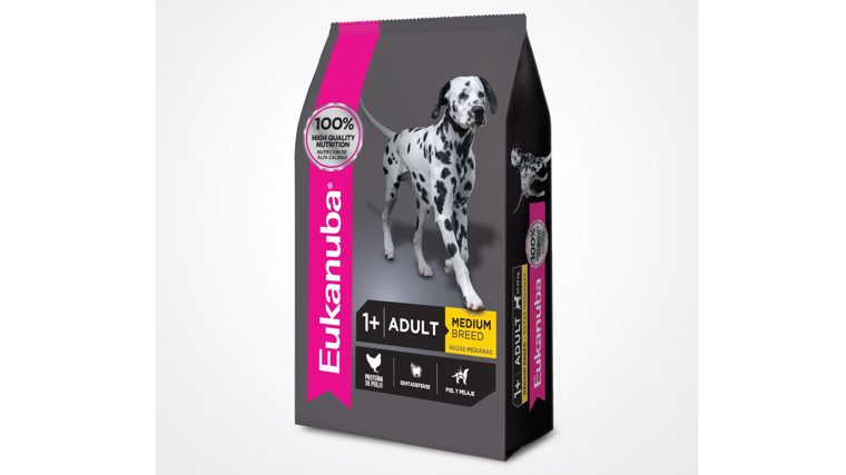 Los mejores piensos para perros según el tamaño de su raza calidad-precio