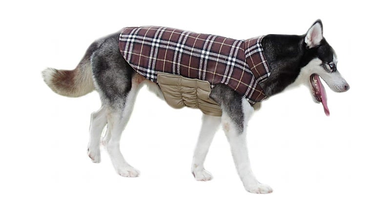 Los mejores chubasqueros para proteger a tu perro de la lluvia y el frío