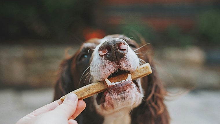 Código descuento Tiendanimal exclusivo ABC, ahorra 7€ en tu primera compra en febrero 2025