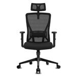 Imagen - Silla ergonómica Durrafy