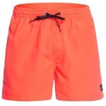 Imagen - Bañador para hombre Quicksilver Everyday Volley