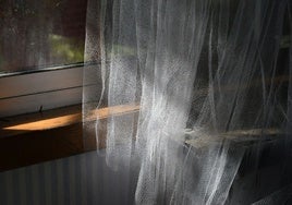 Aíslate de insectos con las mejores mosquiteras del mercado al mejor precio