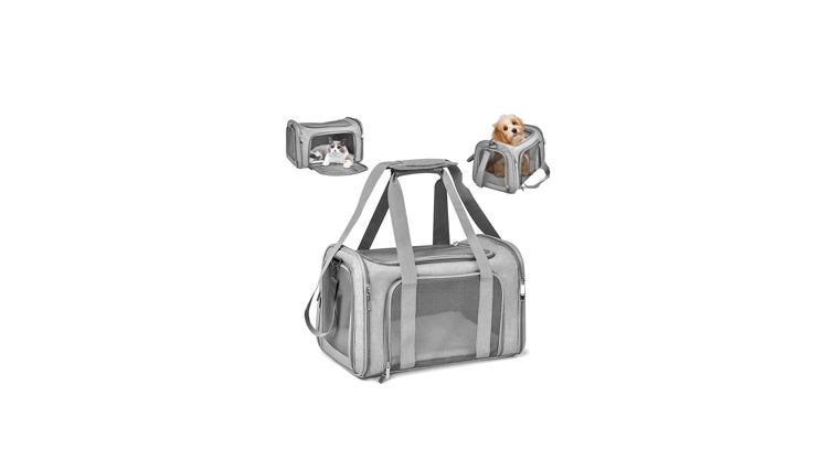 Transportines para viajar con tu mascota este verano