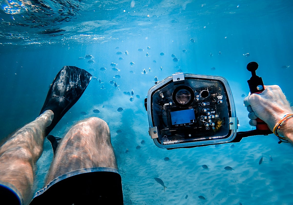 Las mejores cámaras acuáticas para capturar tus aventuras.