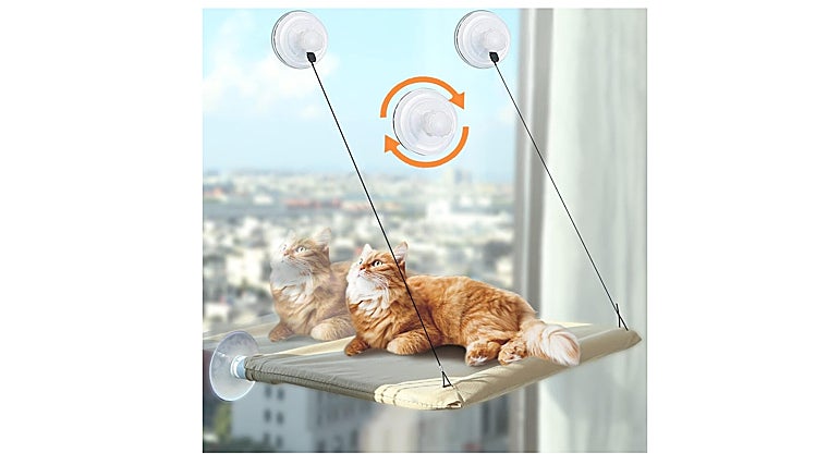 Dale a tu mascota lo que se merece: estos son los 7 accesorios para gatos más vendidos en Amazon