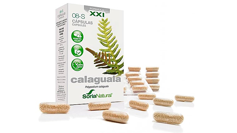 Refuerza tus defensas: suplementos y vitaminas que ayudan a tu sistema inmune