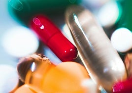 Probióticos y prebióticos: diferencias, beneficios y mejores opciones del mercado