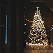 Es hora de montar el árbol de Navidad: las mejores ideas para tu hogar