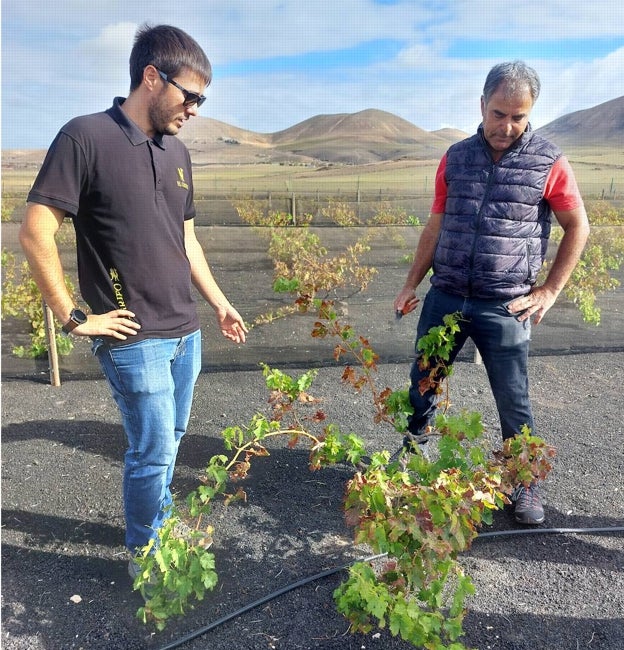 El enólogo Jorge Rodríguez y el viticultor Francisco Raimundo García Reyes en Playa Quemada