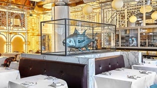 Imagen principal - BiBo