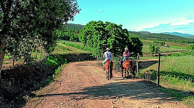 Terras Gauda propone un plan de enoturismo a caballo