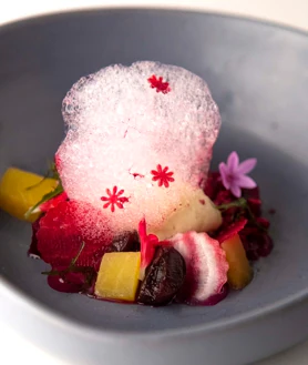 Imagen secundaria 2 - Sobre estas líneas, Lucía Freitas y el homenaje a las 'Amas da Terra'en el escenario de San Sebastián Gastronomika. Abajo uno de sus platos: menestra fría.