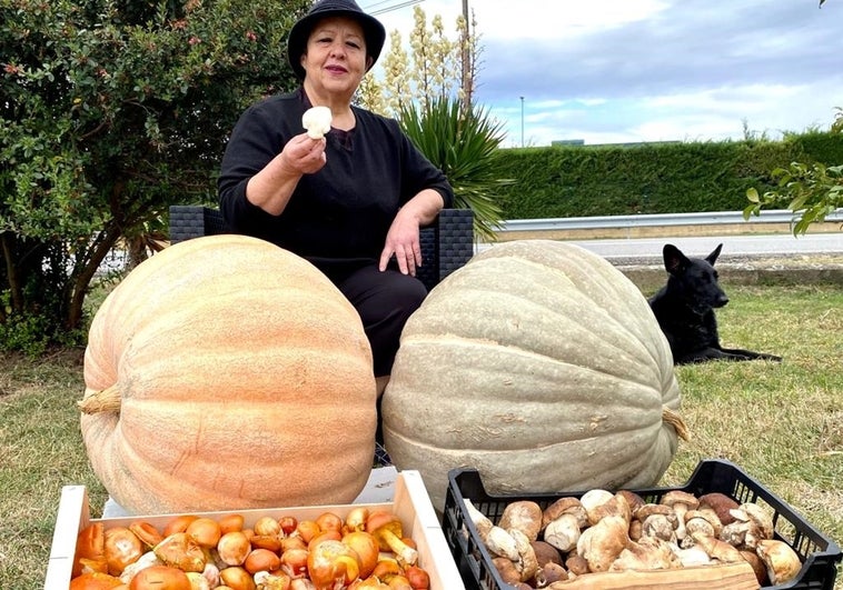 Más allá del níscalo y el boletus: ¿dónde comer otras setas en España?