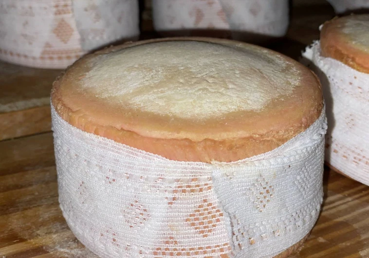 Cremosito del Zújar, campeón: este queso de Badajoz presume de no amargar como la Torta del Casar