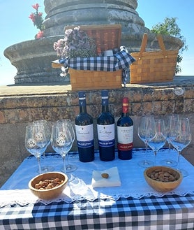 Imagen secundaria 2 - La bodega José Estévez ofrece visitas a sus viñedos y catas de sus vinos. 