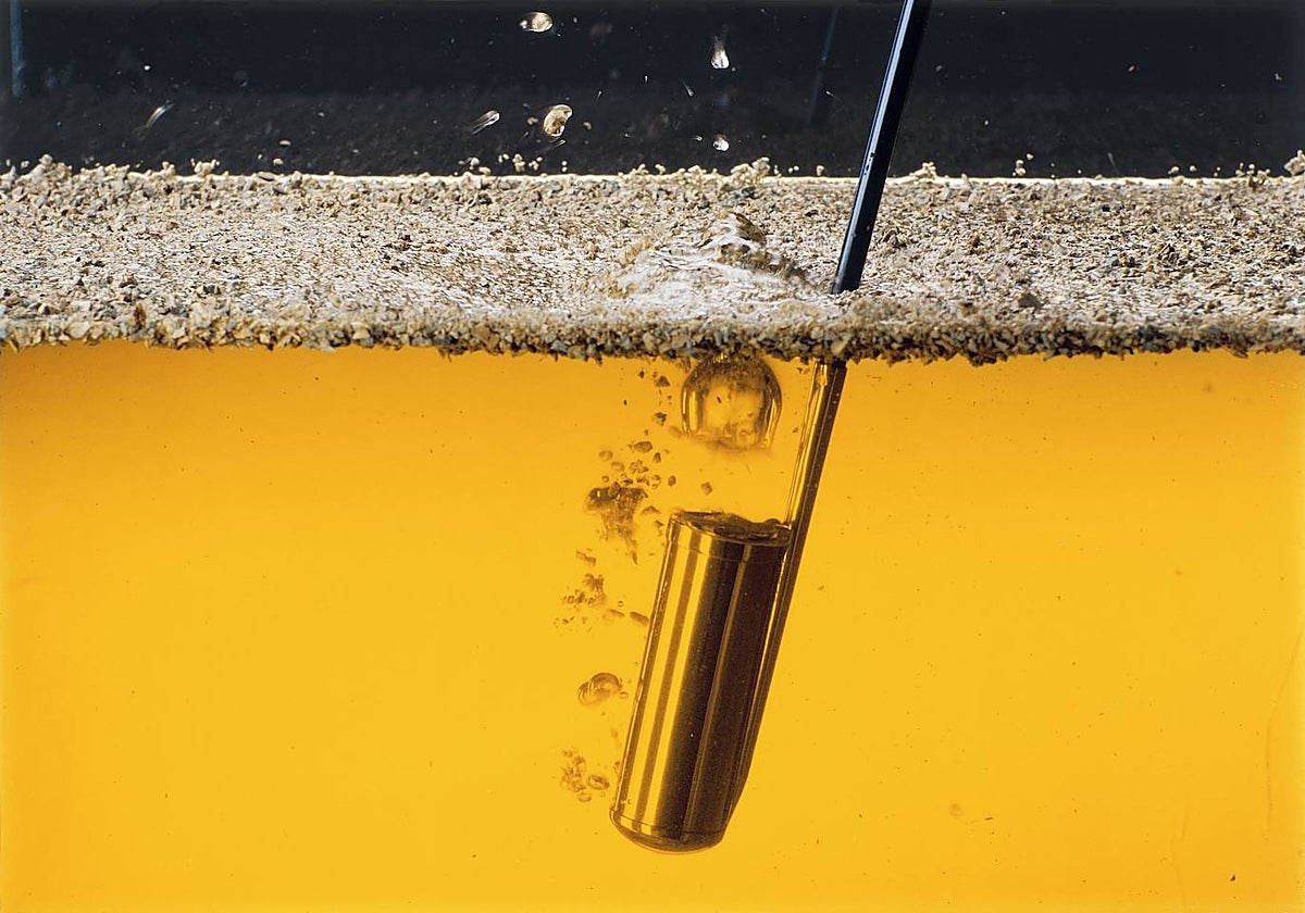 Los vinos de Jerez se crían protegidos por una capa de levadura conocida como 'velo de flor'