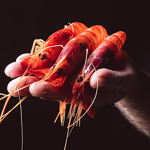 Gamba roja de la lonja de Santa Pola