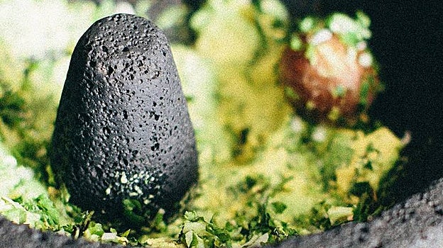 Guacamole hecho en molcajete de Oaxaca