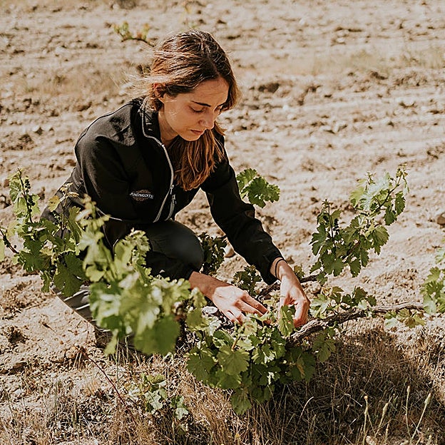 Martina Prieto, enóloga de Bodegas José Pariente