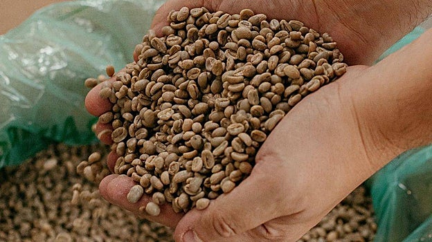 Granos de café de especialidad en el tostador de Syra Coffee