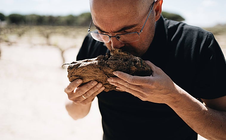 Imagen principal - En las fotos, el viticultor Sergio Ávila con algunos tratamientos biodinámicos de compost en vejigas de ciervo o cuernos