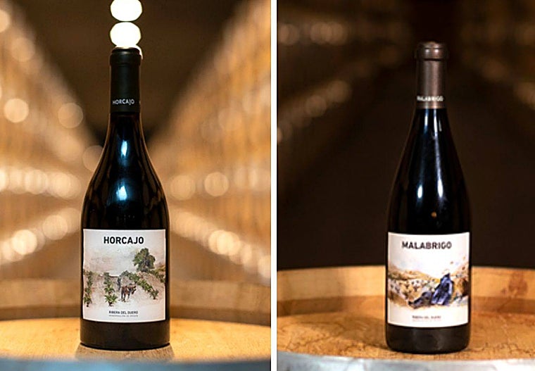 Horcajo y Malabrigo, las dos referencias de alta gama afectadas por el asalto a la bodega Cepa 21 de Castrillo de Duero (Valladolid)