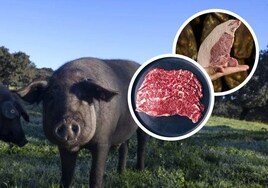 Cinco cortes de cerdo ibérico que no deberías dejar pasar, ¿por qué es mejor la carne fresca de montanera?