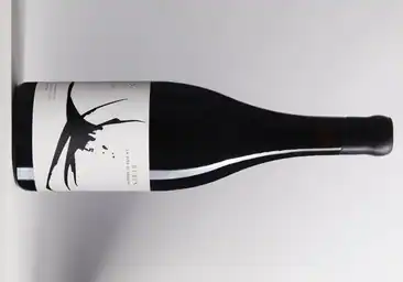 Rubus La Viña de Báguena 2021: la garnacha turolense