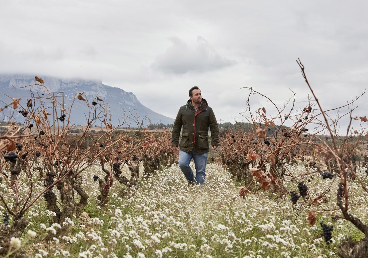 Pepe Rodríguez de Vera, líder del movimiento Viñadores de Castilla